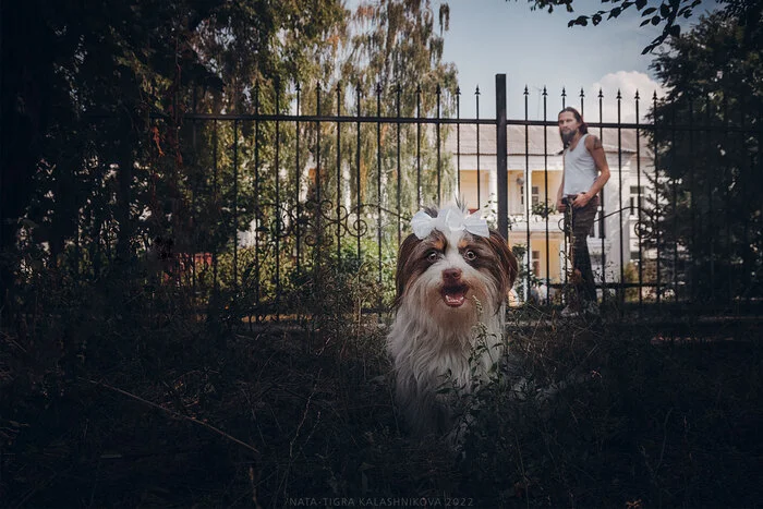 Have you reminded your schoolchildren that they can't take candy from strangers? Send it to someone who might forget Happy September 1st! - My, Dog, School, Photographer, Animalistics, Animals, Longpost