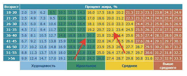 Годовой отчет на 1 сентября 2024 года - Моё, Блог, Мотивация, Совет, Цель, Цель жизни, Длиннопост