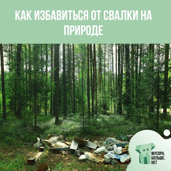 3 Important Steps to Help Eliminate Landfill in Nature - My, Ecology, Garbage, Law, Dump, Ecological catastrophy, Environmental pollution, Pollution of the river, Mbn, Eco-education, Actions, Forest, Nature, The nature of Russia, wildlife, Camping, Protection of Nature