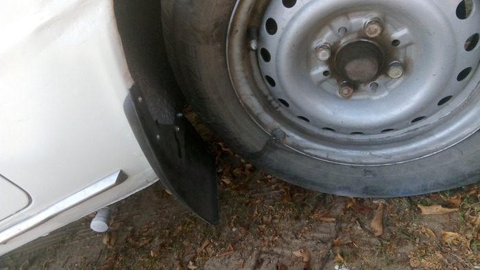   ,     :       .         .