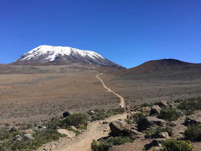 Climbing Kilimanjaro, Part 3. Mountain Sickness, Agatha Christie and Girl Power - My, Туристы, Drive, Climbing, Mountaineering, Tourism, Mountain tourism, Travels, Hike, Kilimanjaro, Tanzania, Africa, Agatha Christie, The mountains, The rocks, Hiking, Men and women, Camping, Tracking, Longpost