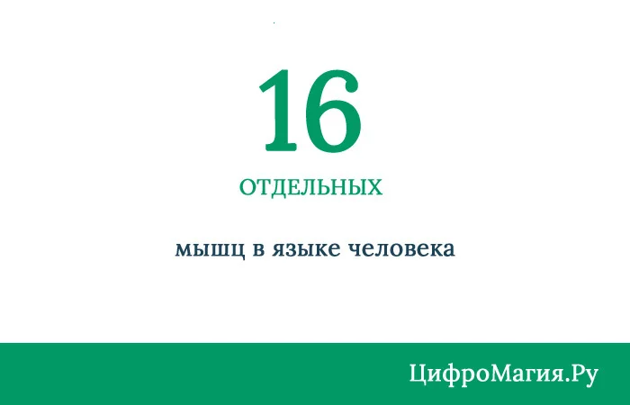 ЦифроМагия #1 - Факты, Цифры, Поучительно, Познавательно, Вокруг света, Длиннопост