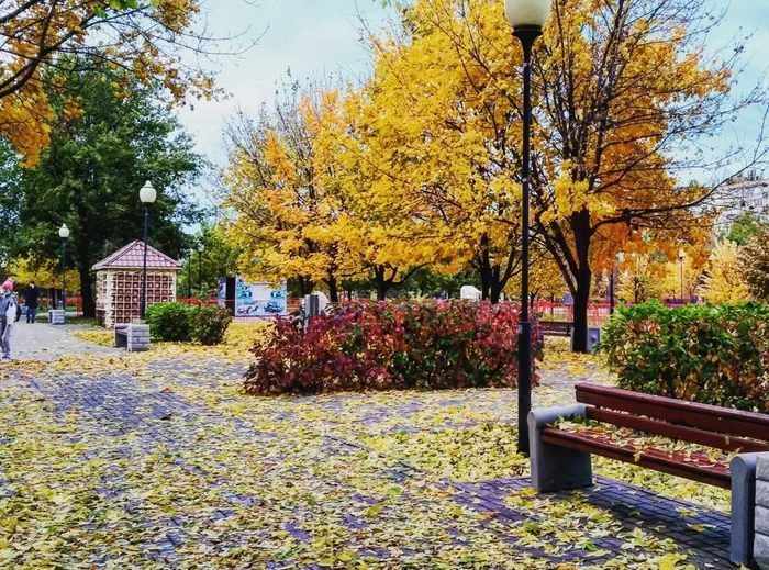 I'm waiting for such an autumn - My, Autumn, Voronezh, Victory park