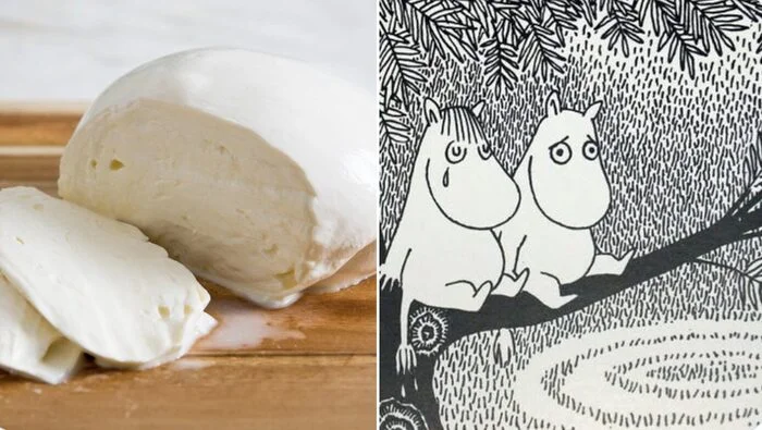 Is it true that in Finland mozzarella is called Moomin meat? - My, Moomin Trolls, Moomin troll, Mozzarella, Cheese, Illustrations, Images, Books, Characters (edit), Literature, Facts, Finland, Twitter, Проверка, Research, Informative, Story, Longpost, Repeat