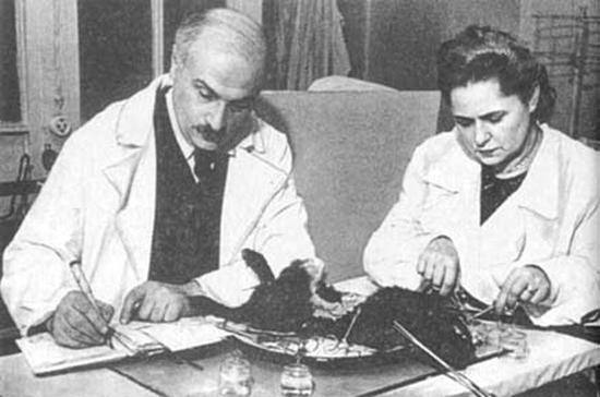 Who and why accused our scientists who created a cure for cancer of cosmopolitanism - My, the USSR, Stalin, The medicine, Panacea, Theft