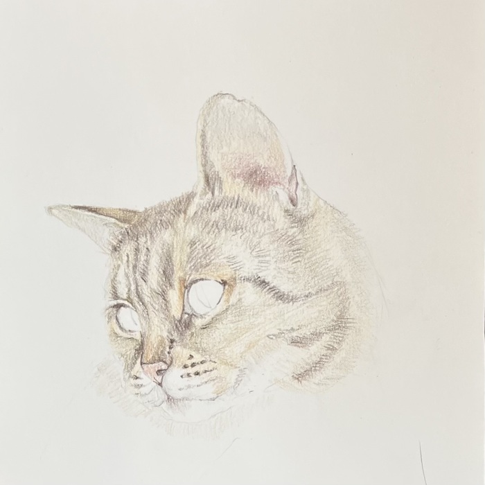 � ��������