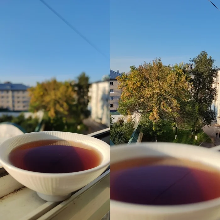 Happy first day of autumn, friends! - My, Tea, Autumn, September 1, China, Leaves, Autumn leaves, Mobile photography