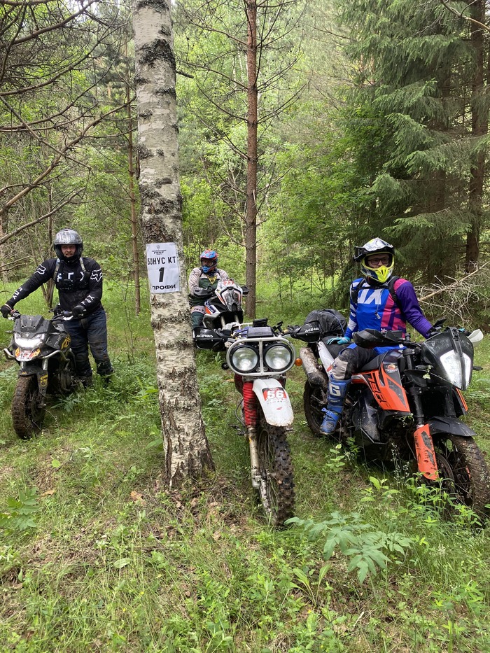 Наша команда