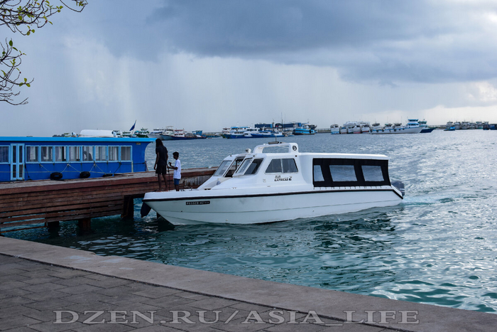 ������, ������� � ����� - ����� ���������� ���������, ������� ��� �������, ����� �� ������� �������, ��� ��������� ������� ������������ ����� ���������