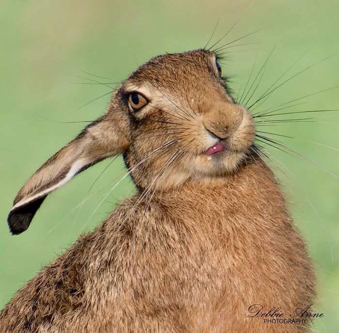 Фото на паспорт