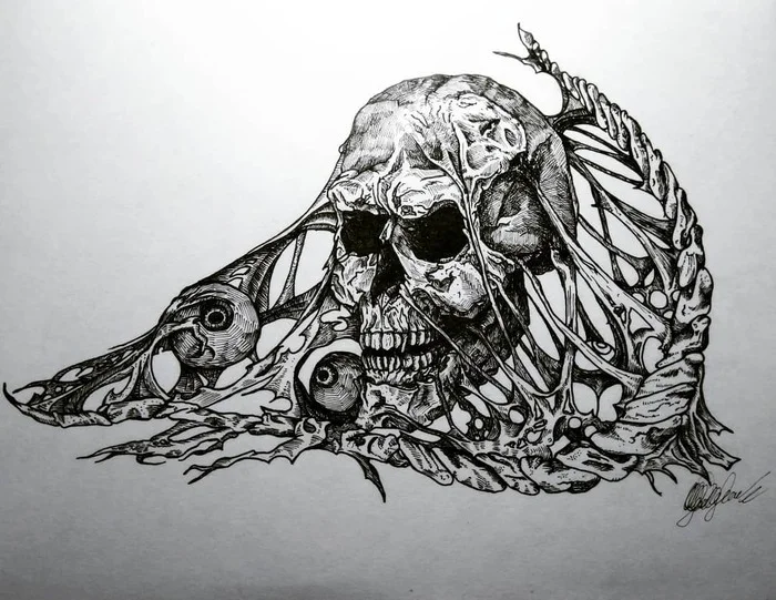 This is a picture. Thank you for your attention! - My, Drawing, Scull, Tattoo, Images, Art, Bones