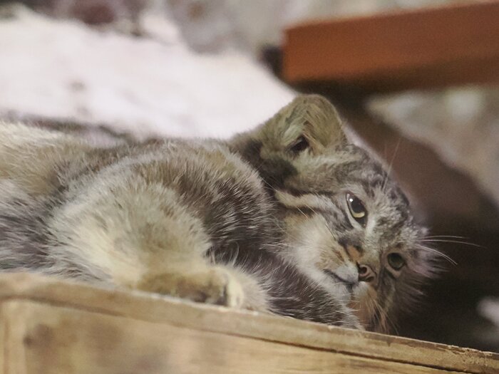 Понедельник... Сентябрь... Как я рад...