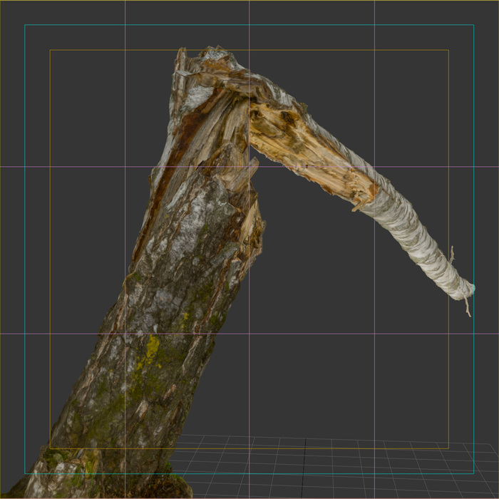 чистый альбедо