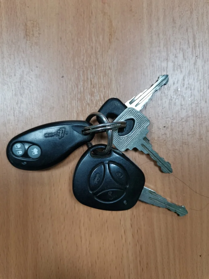 Found car keys in Kuzovatovo forest, Krasnaya Baltiya - My, Keys, Find, The strength of the Peekaboo, Forest, Ulyanovsk region, Lost and found, No rating, Found things, Car key