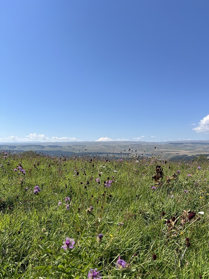 Вид на Эльбрус с Малого Седла.