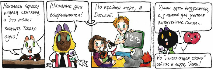 Котейкины Новости от 02.09.2024