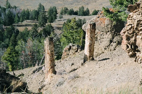 The Mysterious Stone Trees of Yellowstone Park - Evolution, Nauchpop, Christianity, Telegram (link)