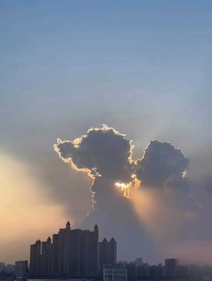 Всем чмоки в этом чате