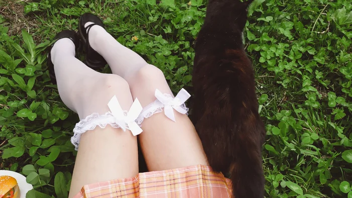 Legs and a kitten - My, Milota, Images, Legs, Stockings, cat, Nature