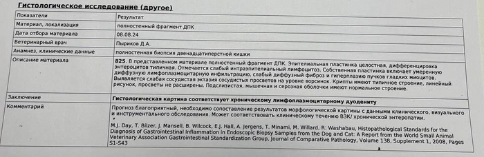 Не самый плохой вариант - с такой стенкой я подозревал лимфому.