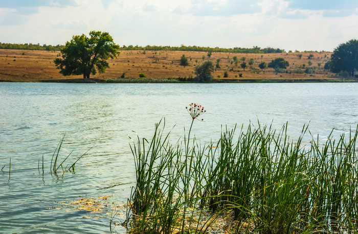 ����� ����...����� ���...