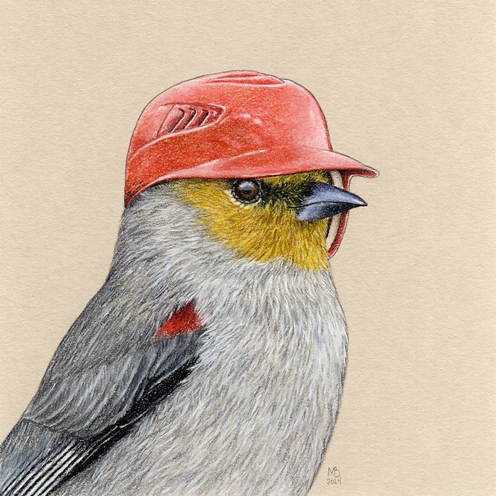 American Penduline Tit - My, Art, Drawing, Birds, Animalistics, Traditional art, Birds in hats, Pastel, Remez, Baseball