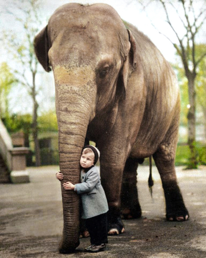 Осколки истории : Интересные и редкие ретро-фотографии Европы. 20 раскрашенных фотографий ХХ века. Часть VI Историческое фото, Старое фото, Фотография, Колоризация, Италия, Германия, Франция, Англия, Швейцария, Нидерланды (Голландия), 20 век, Великобритания, Европа, Длиннопост