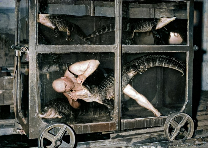 Осколки истории : Интересные и редкие ретро-фотографии Европы. 20 раскрашенных фотографий ХХ века. Часть VI Историческое фото, Старое фото, Фотография, Колоризация, Италия, Германия, Франция, Англия, Швейцария, Нидерланды (Голландия), 20 век, Великобритания, Европа, Длиннопост