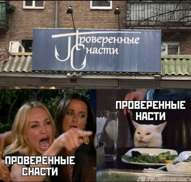 Verified, and no problem - Picture with text, Black humor, Two women yell at the cat, Memes, Signboard