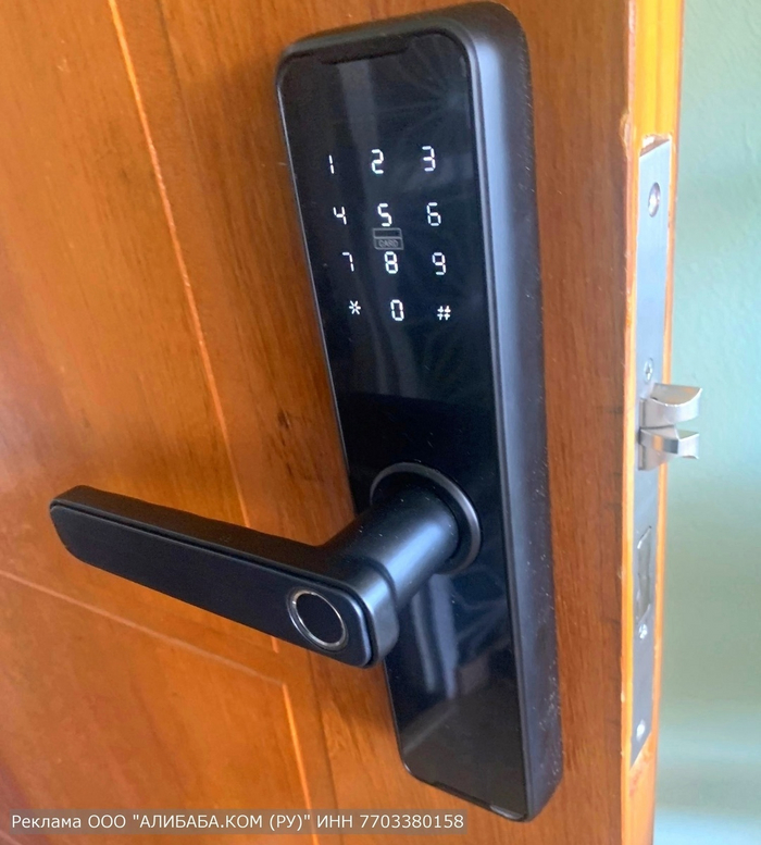 Биометрический дверной замок RAYKUBE