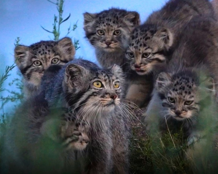 ��������� ����� �� ������