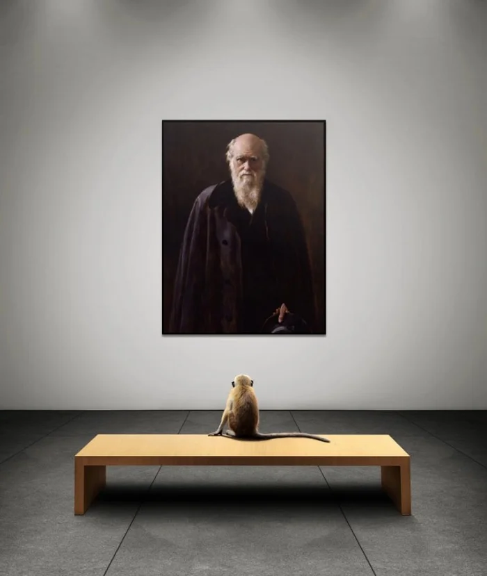 Confrontation - Charles Darwin, Evolution, Origin of Species, Person, Monkey, The science, Biology, Scientists, Humor, Memes