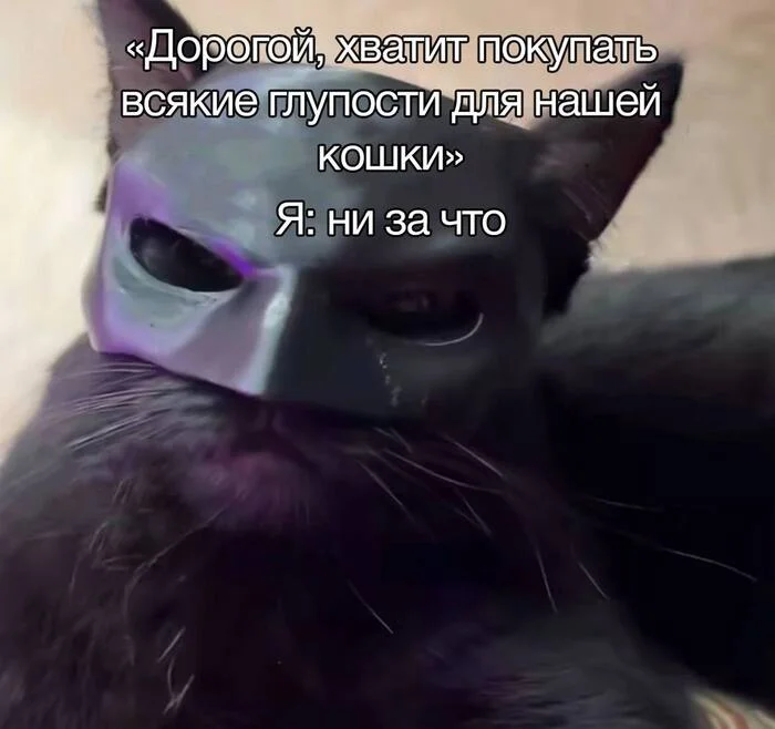 This can't be stopped - Humor, Picture with text, Memes, cat, Mask, Telegram (link)