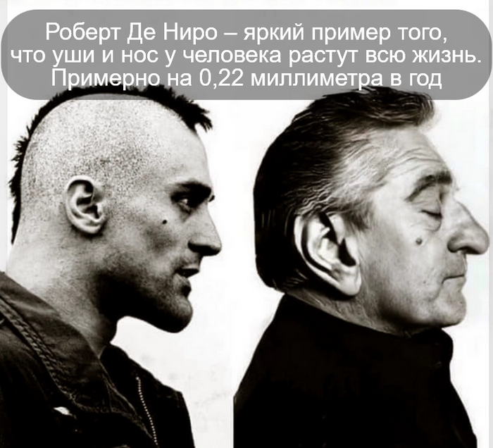 Де Ниро, Роберт )))