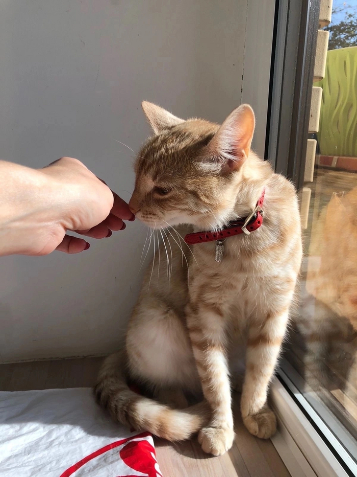 ,    ,        , ,   ,  .    ,  . .., . ,   .8-962-097-92-40 