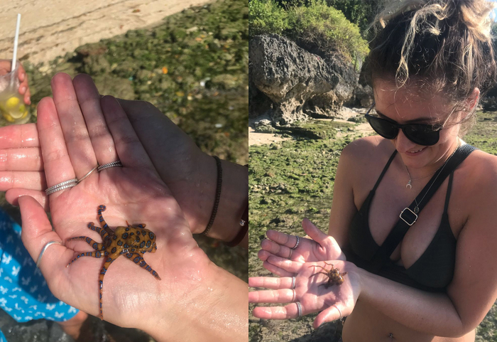 �� ��� ����� ������� �� 26 ������. � �����, ������ ���� ���������� ���������� �������������. �� ��� ���� �� ����� ��� �����, ���� �� �����������, �����? �������� ����� � ��������� ���������, �������- ���.)