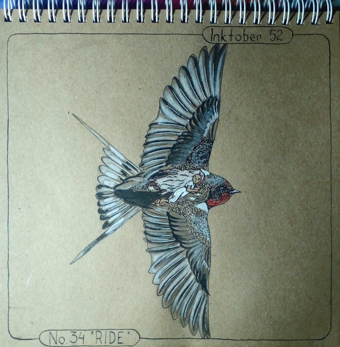 Inktober 52. Week 34 "RIDE"