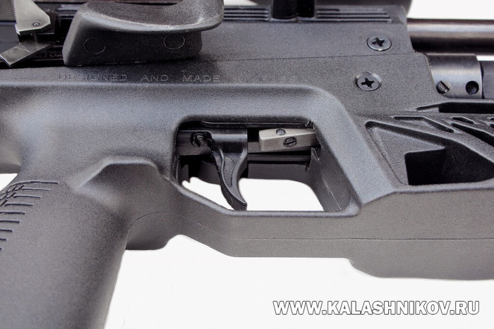      ,   ,    .     2019 .     ,   ,      ,    