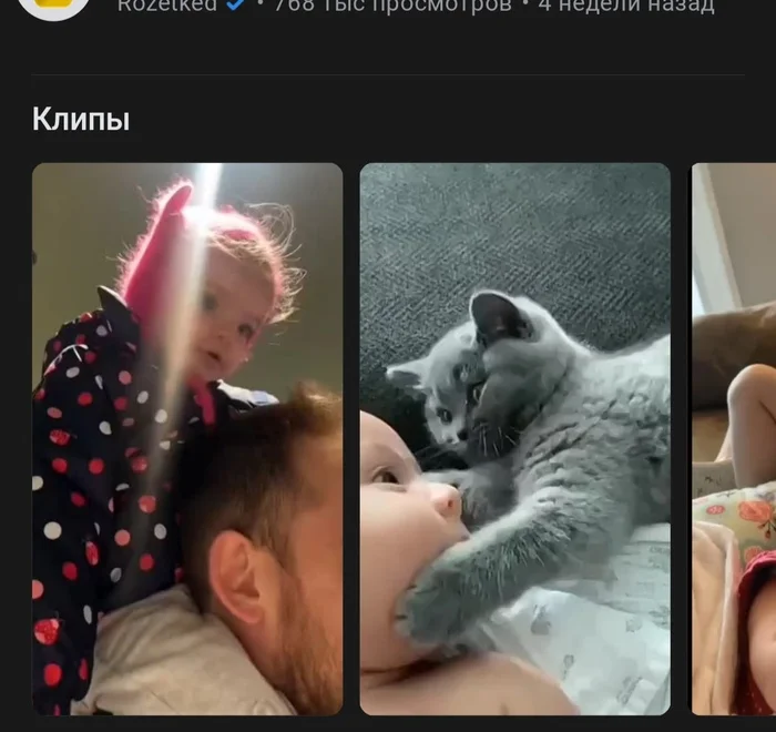 At first I didn't even realize that these were two different clips. - Video VK, Vk Clips, It seemed, cat, Screenshot, Humor