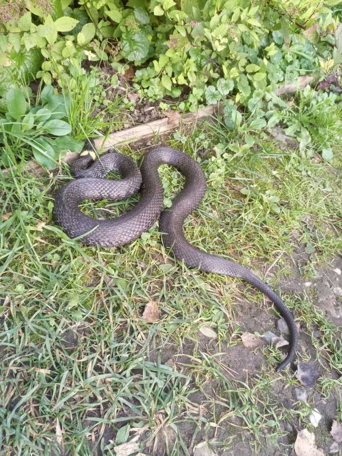 Красота - это страшная сила? :)