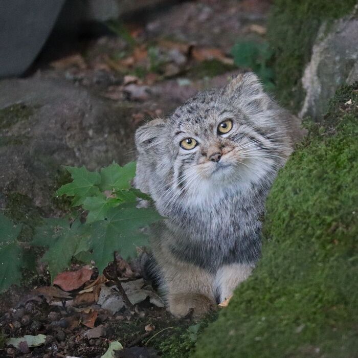 А что это вы тут делаете?