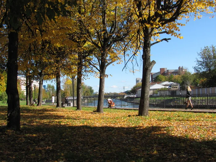 And it's September again - My, The photo, Autumn, Leaves, Tree, Embankment