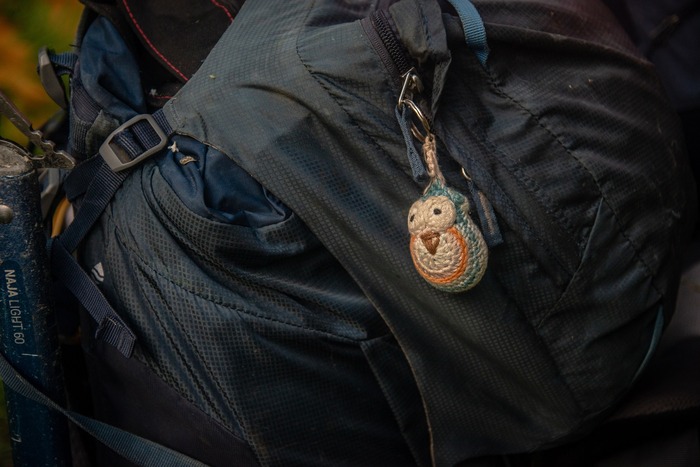 Птичка тоже эмоционально отреагировала на сегодняшний день.