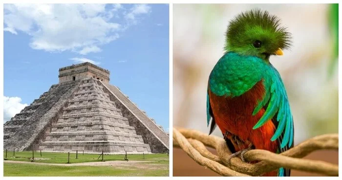 The Temple of Kukulkan – an ancient religious building and its living voices - Quezal, Birds, Temple, Sound effect, Interesting places, Video, Youtube, Longpost