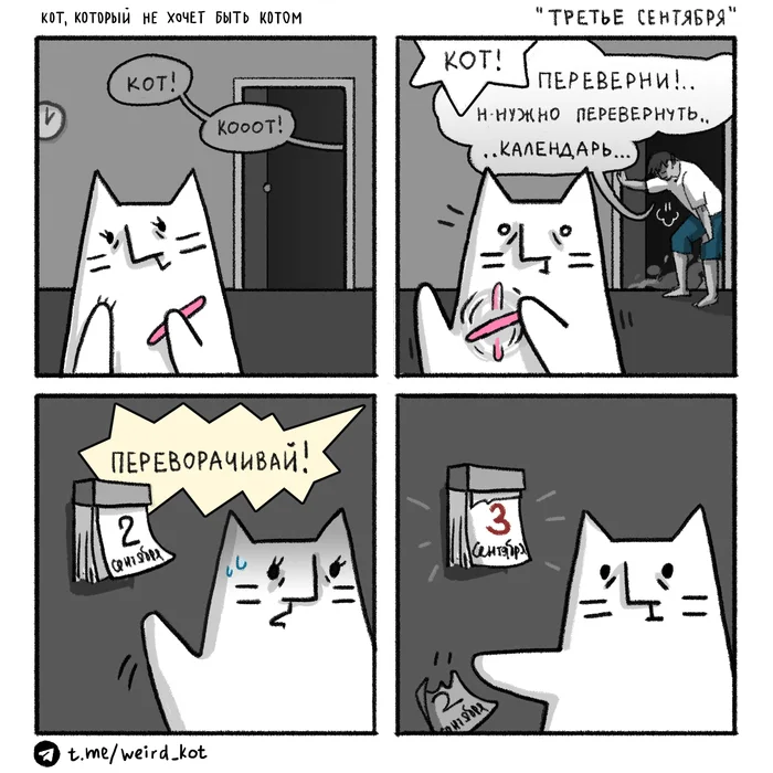 Comic about Cat #94 September 3 - My, Weird_Tanya comics, Author's comic, Comics, cat, Humor, September 3, Mikhail Shufutinsky, Autumn, Holidays