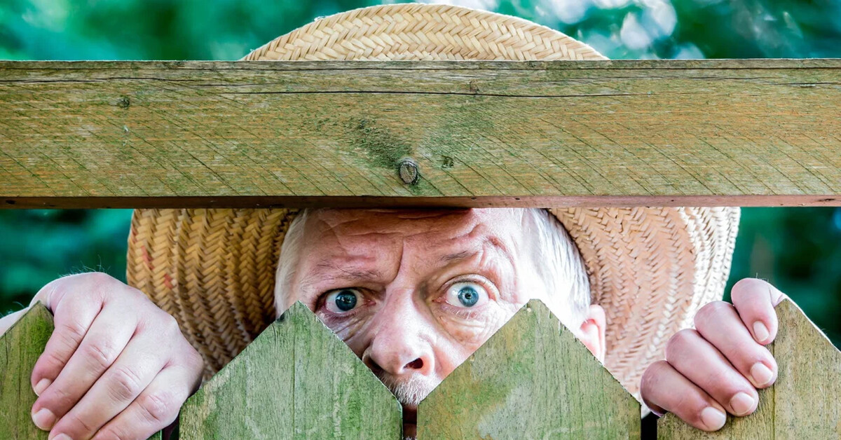 Теория линейных электрических цепей учебник. Шебес. Шебес. Аллоды таинственная записка аммра. Теория линейных электрических цепей учебник.