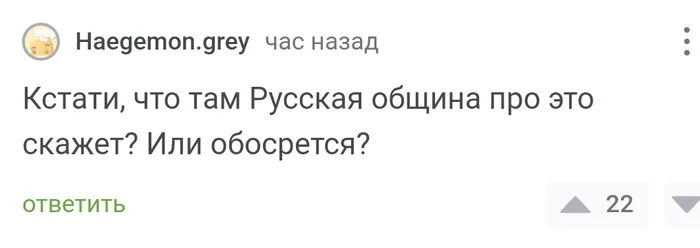 Про Русскую Общину и юмористов - Моё, Мигранты, Русская Община (общественная организация), Мат, Комментарии на Пикабу, Двойные стандарты, Негатив, Диаспора, Несправедливость, Политика, Скриншот