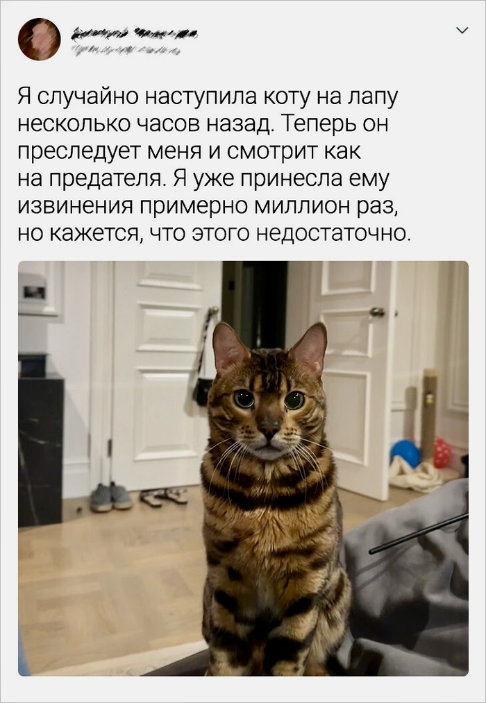    , ADME, 