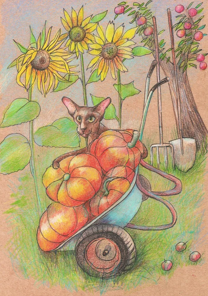 Summer cottage theme - My, Luboff00, Colour pencils, Graphics, Liner, Traditional art, Pencil drawing, cat, Oriental cats, Tomatoes, Sunflower, Longpost