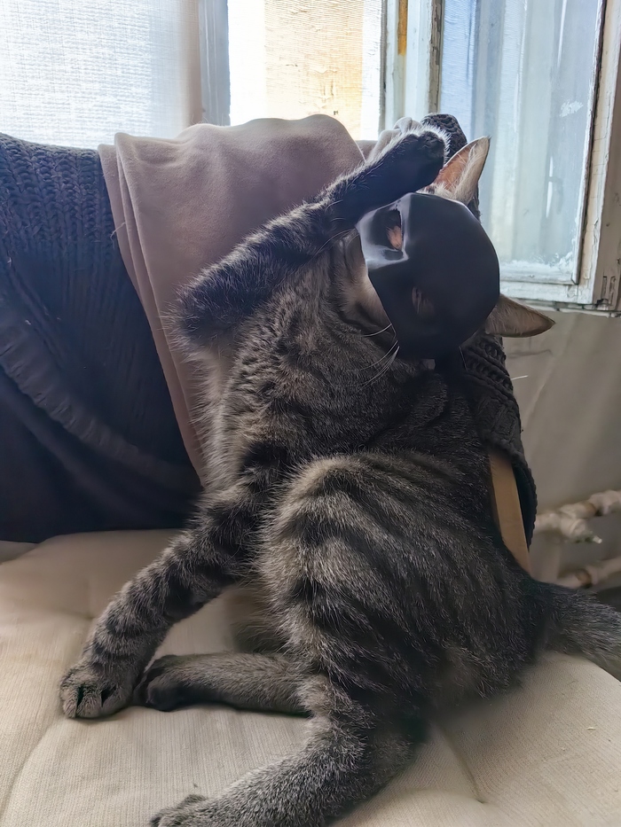 ��� ���������?!